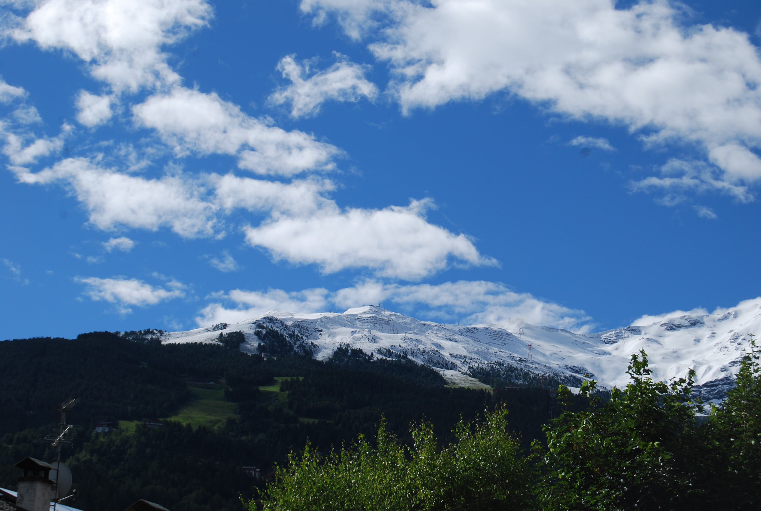 Contatti Chalet Gardenia Case vacanza a Bormio