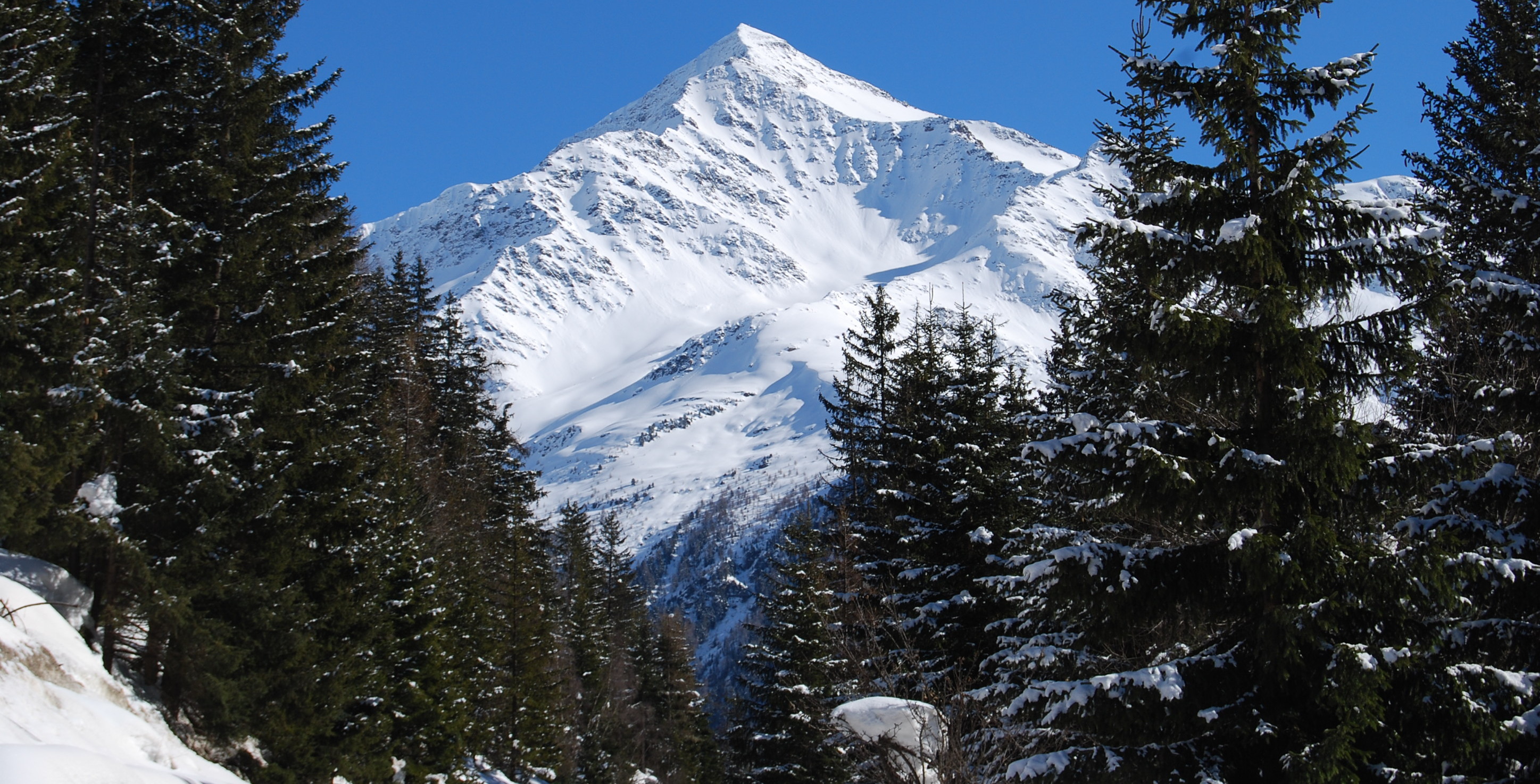 TELEMARK A BORMIO