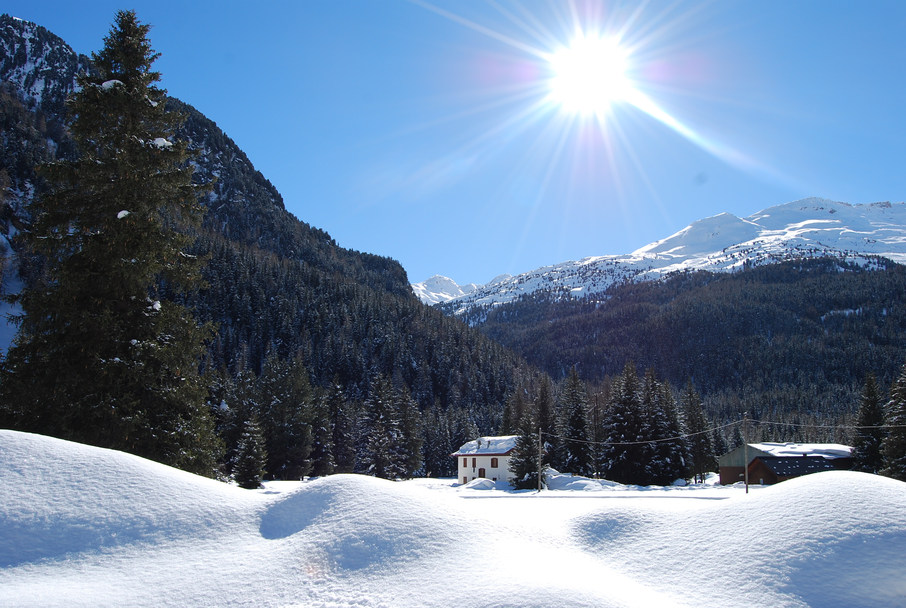 Skitouren Ortles-Cevedale