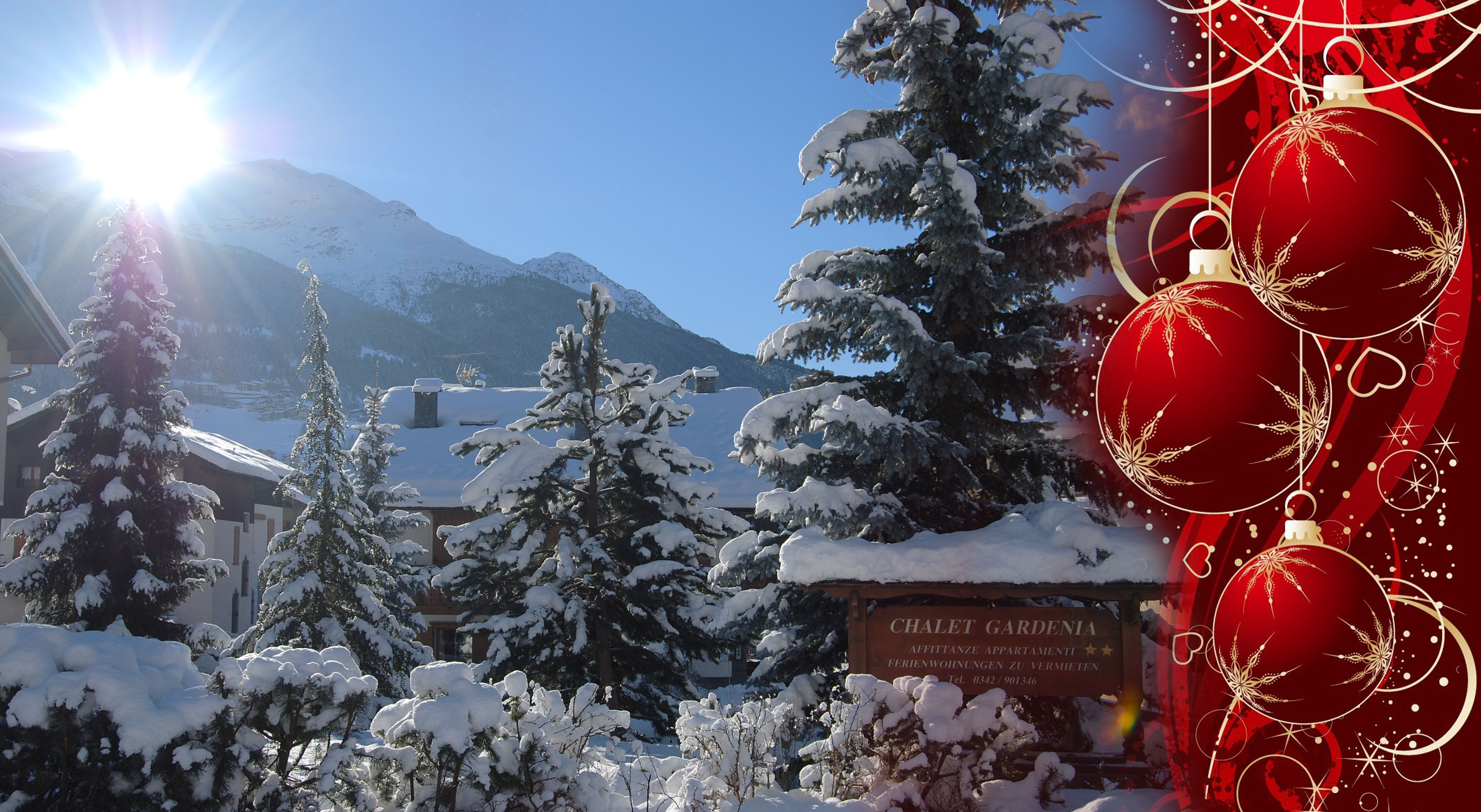 Offer Christmas 2018 Valtellina