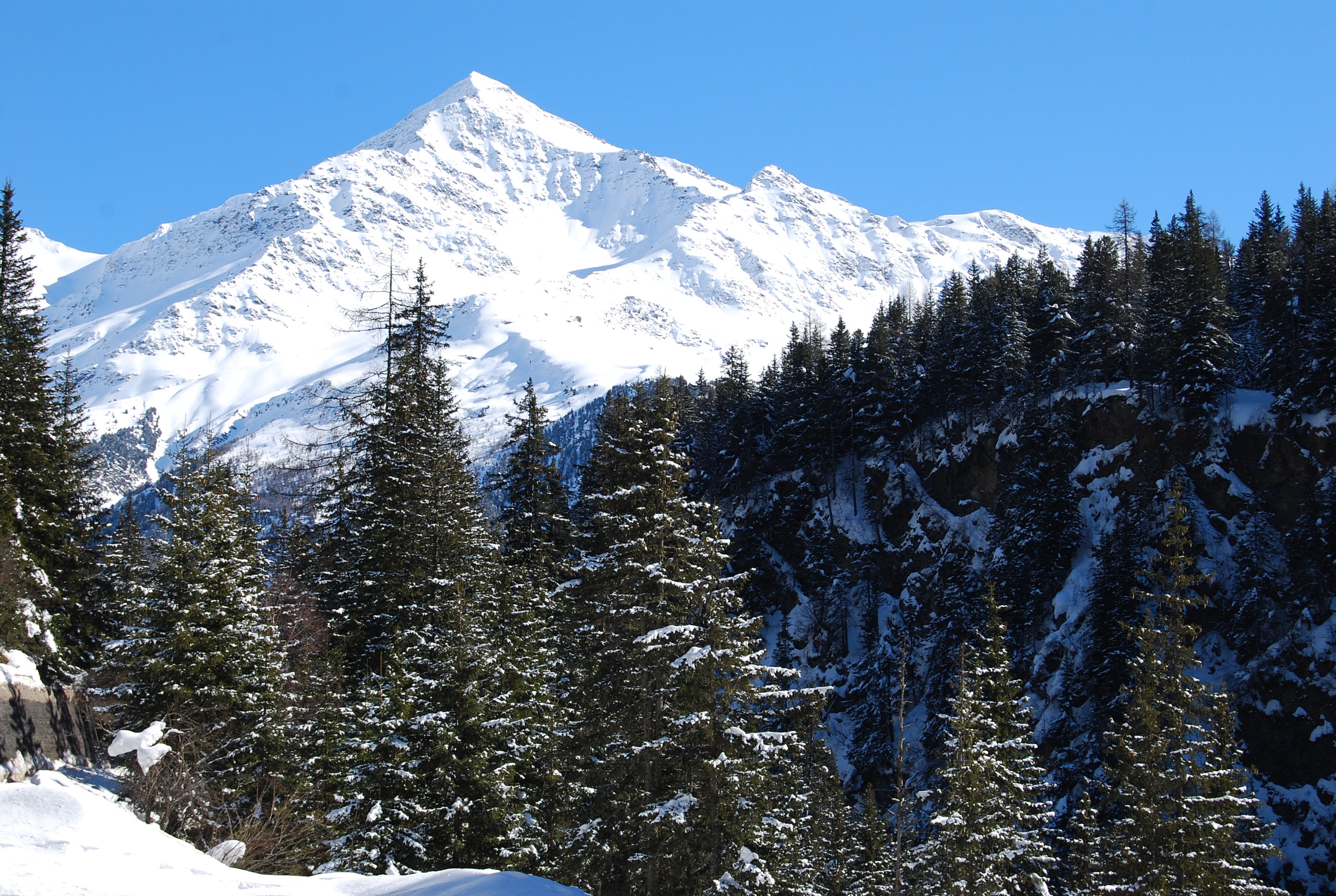 Gruppo mineralogico e naturalistico Alta Valtellina