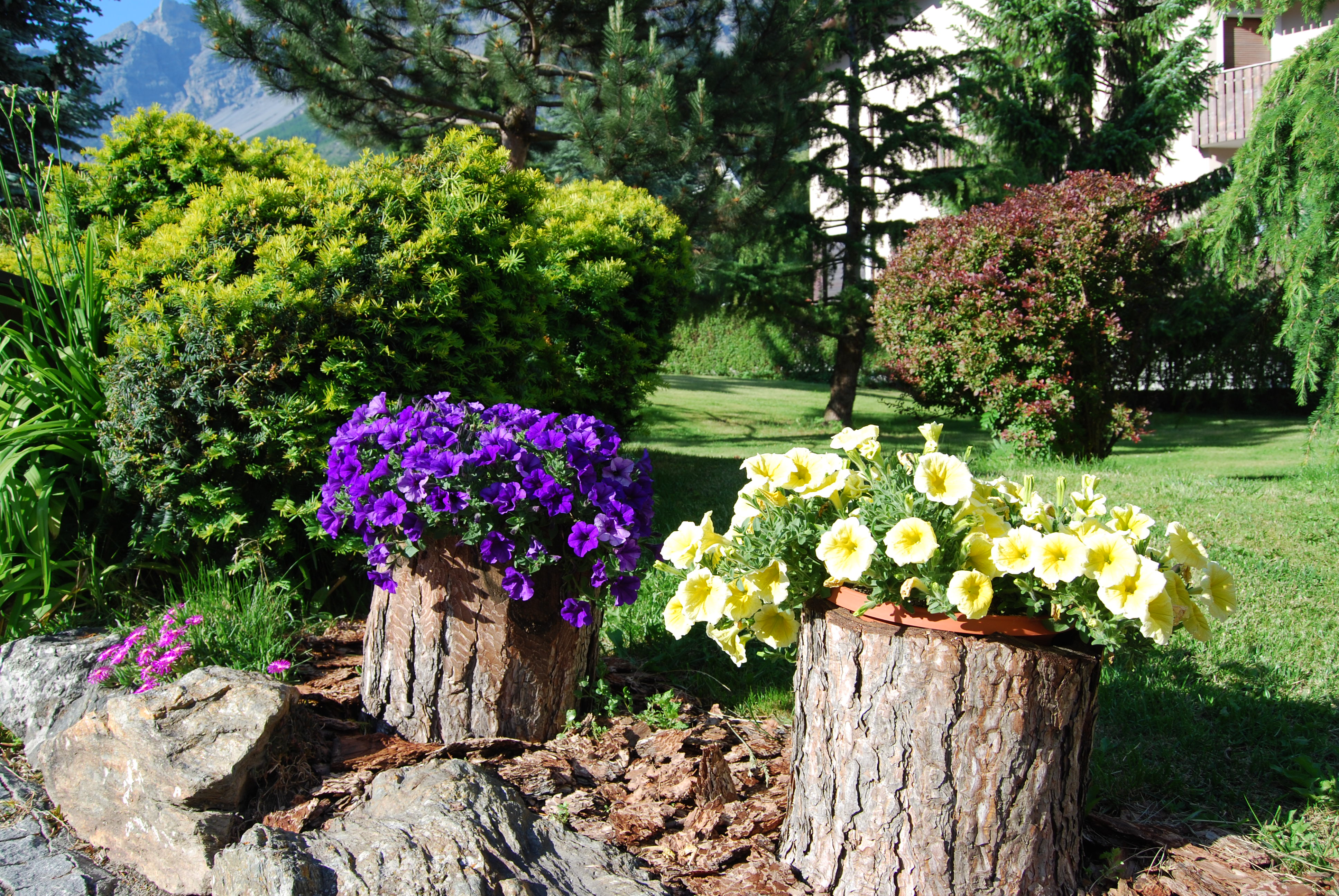 GIARDINO DI MONTAGNA
