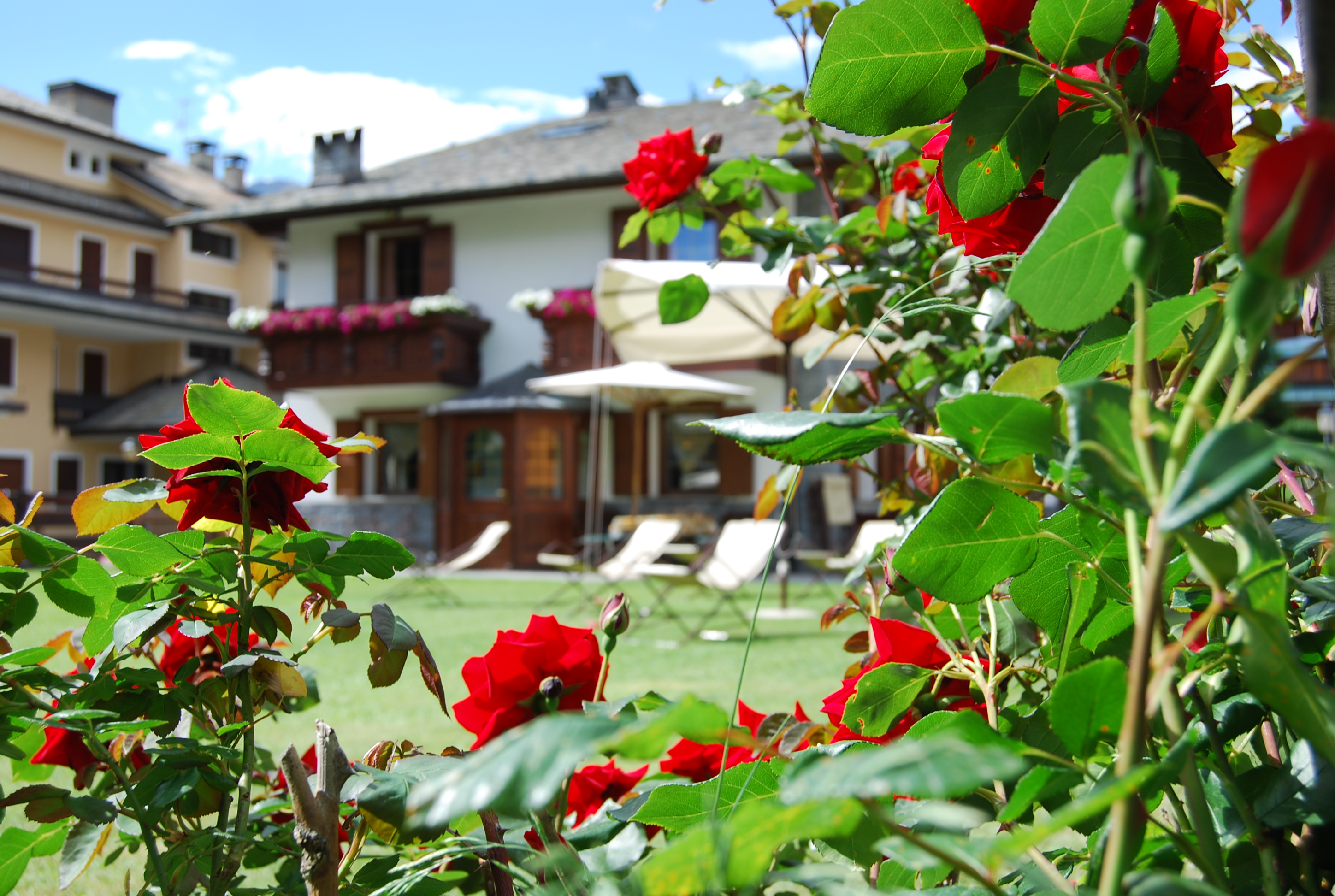 Appartamenti Bormio con giardino