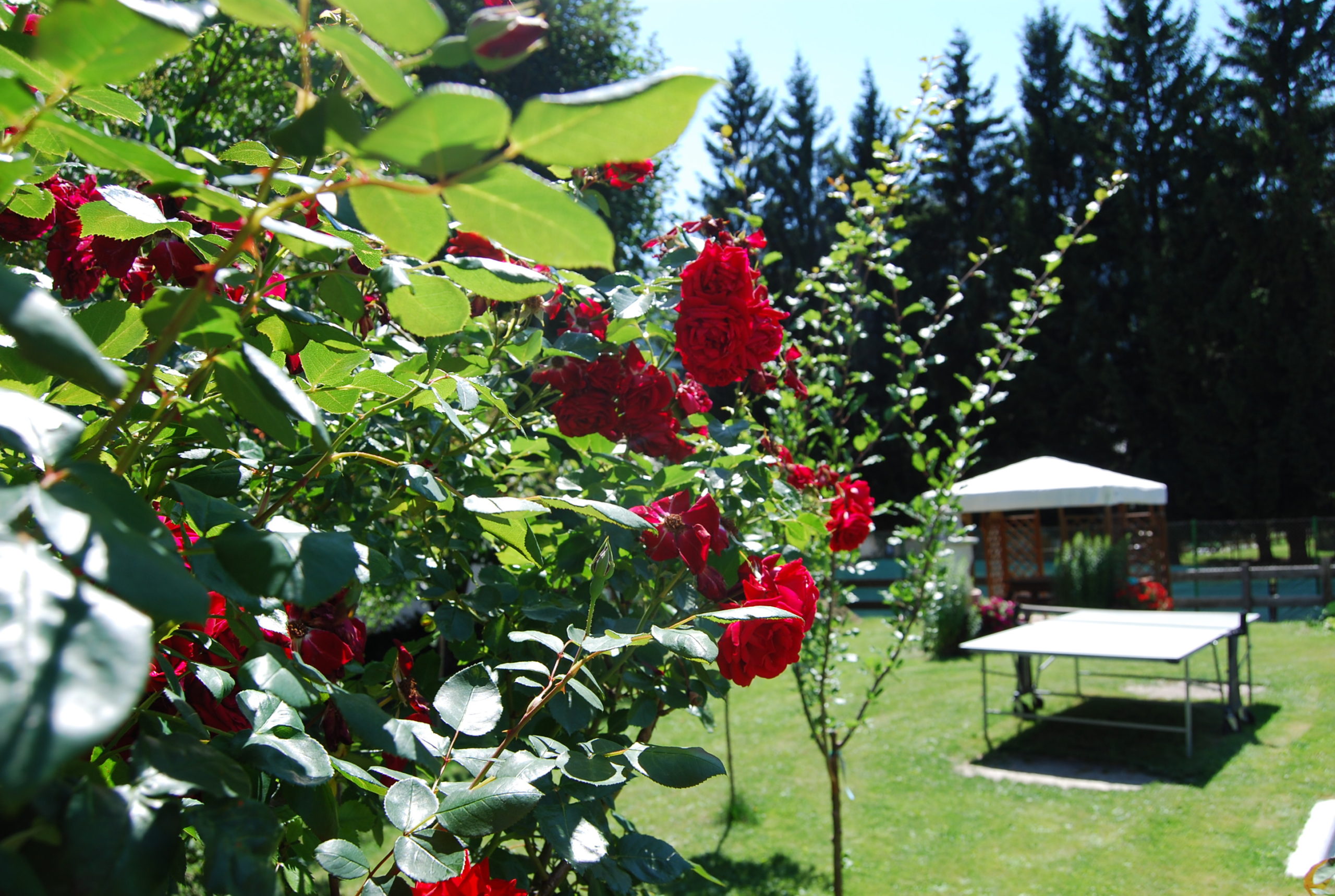 BERGHAUS MIT GARTEN