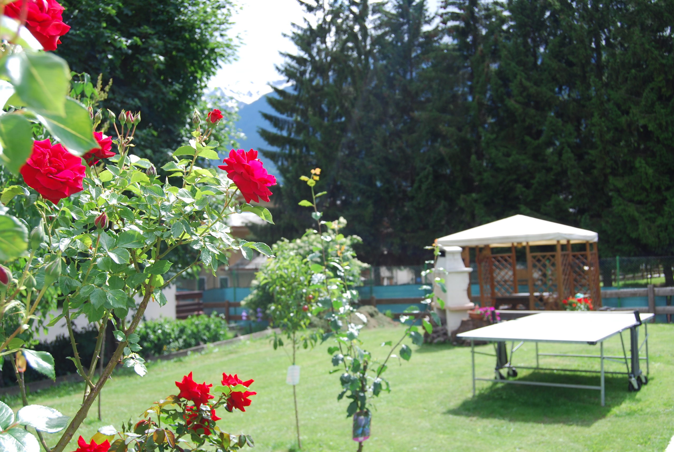 GIARDINO NELLE ALPI