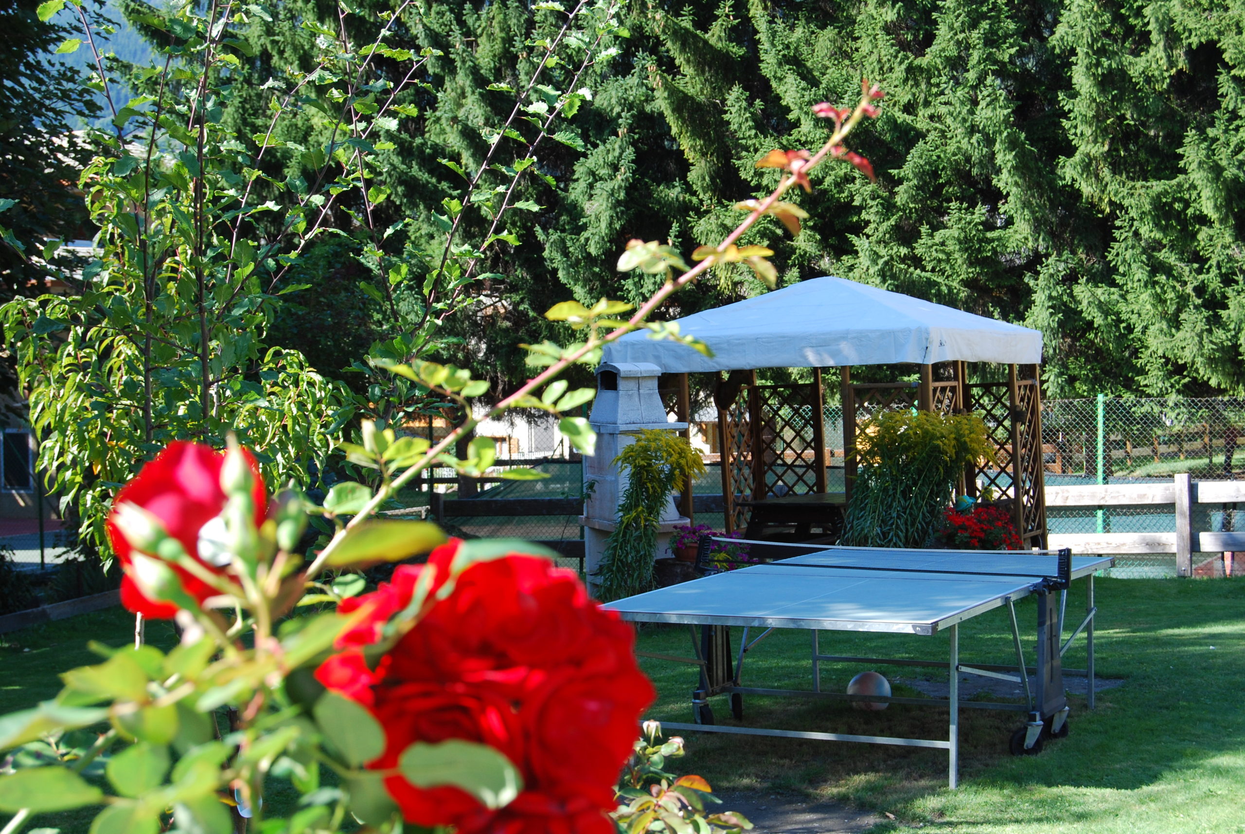 Affitti Bormio con giardino
