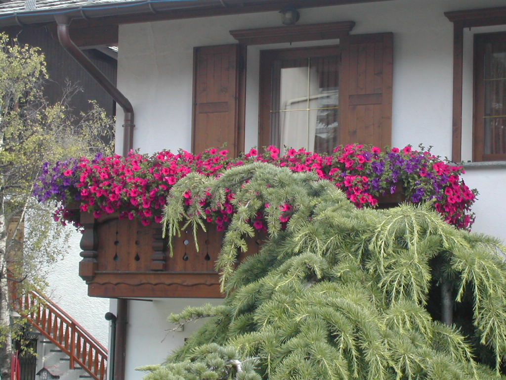 Balcone fiorito nelle Alpi