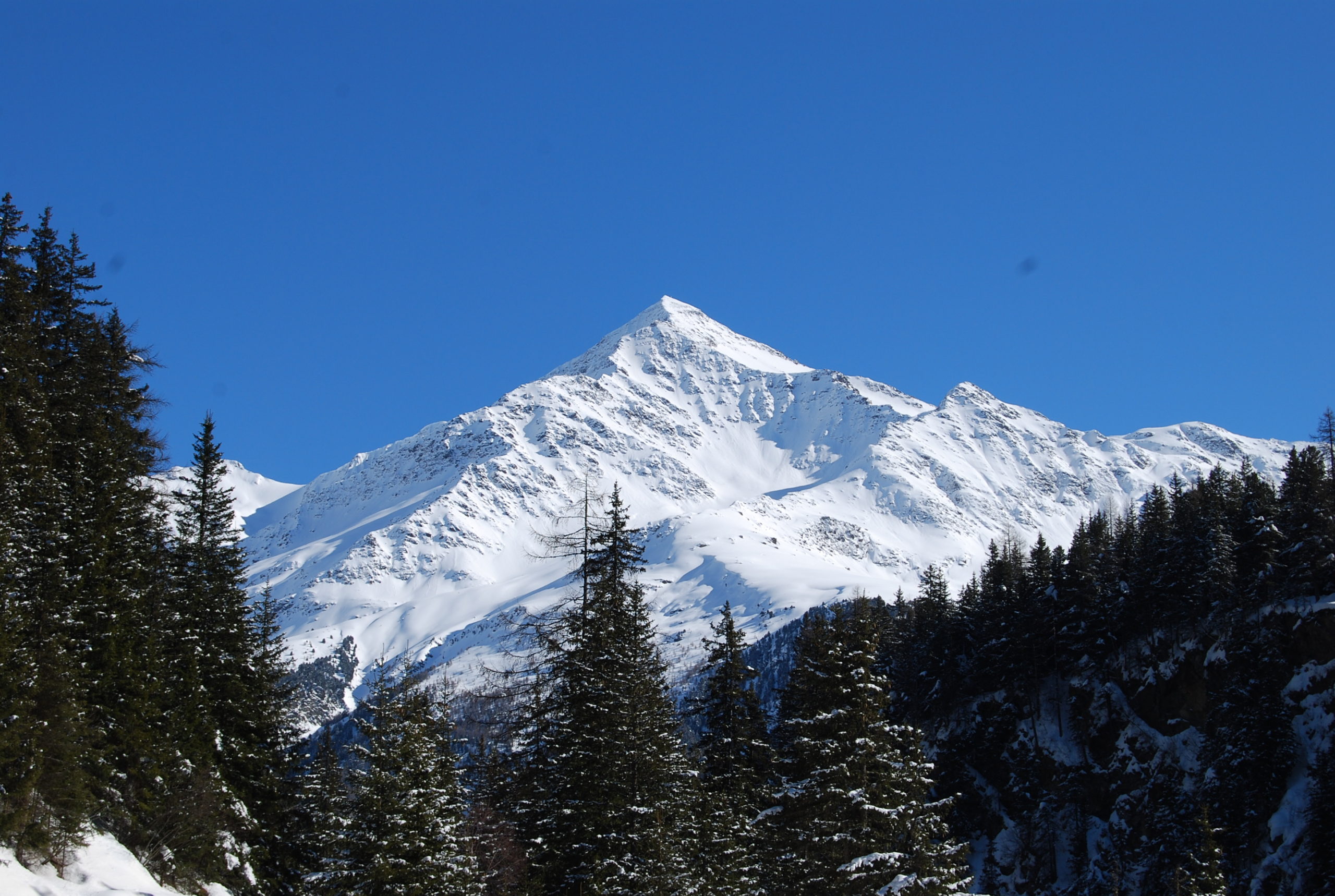Sci alpinismo