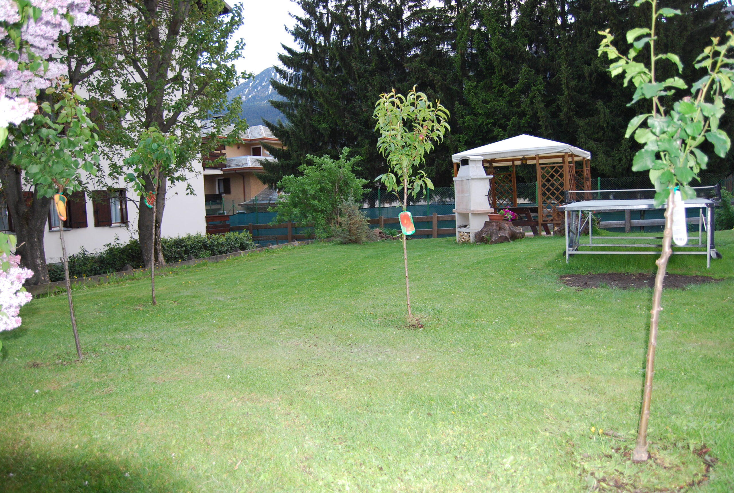 Frutteto nelle Alpi