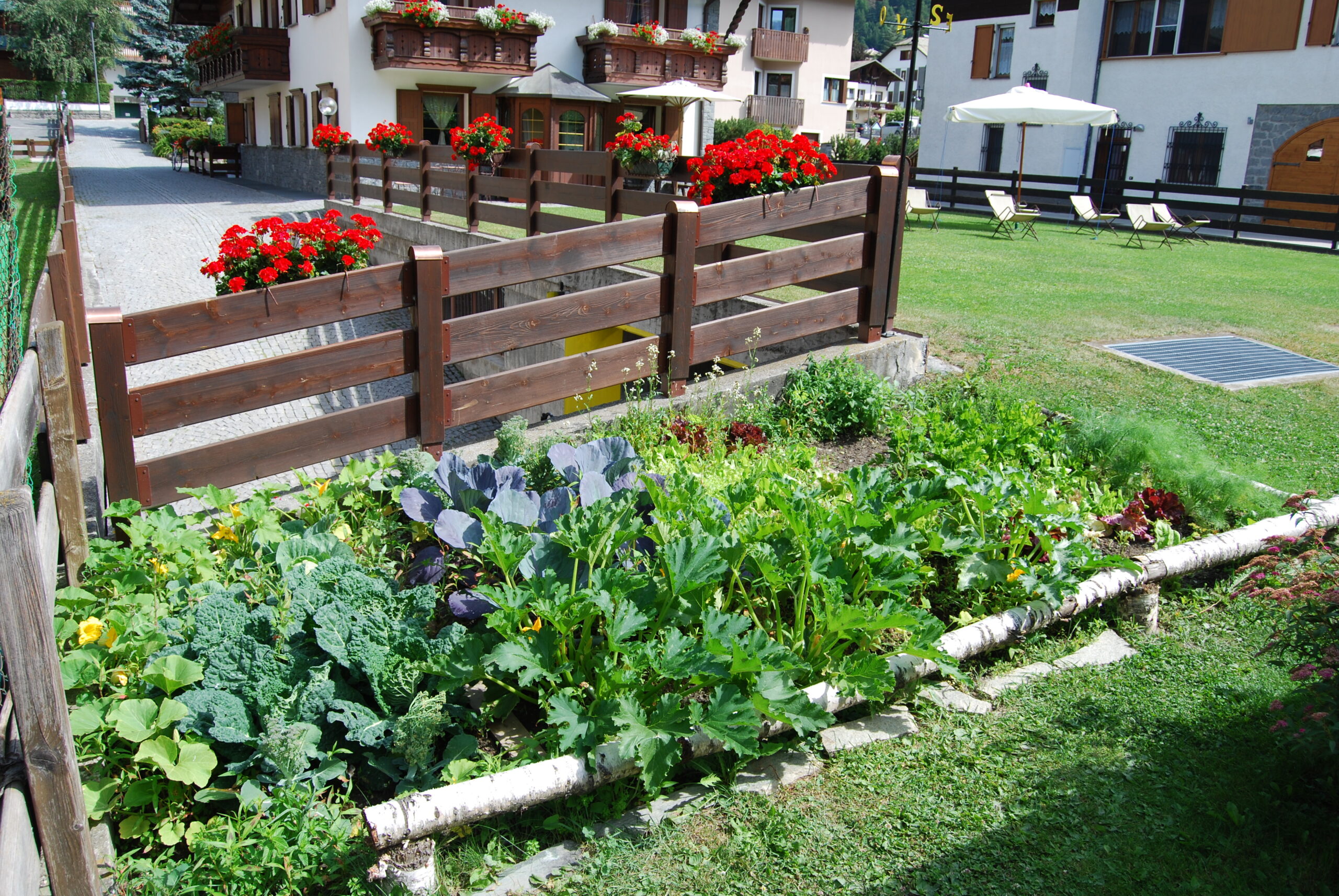 ORTO IN MONTAGNA