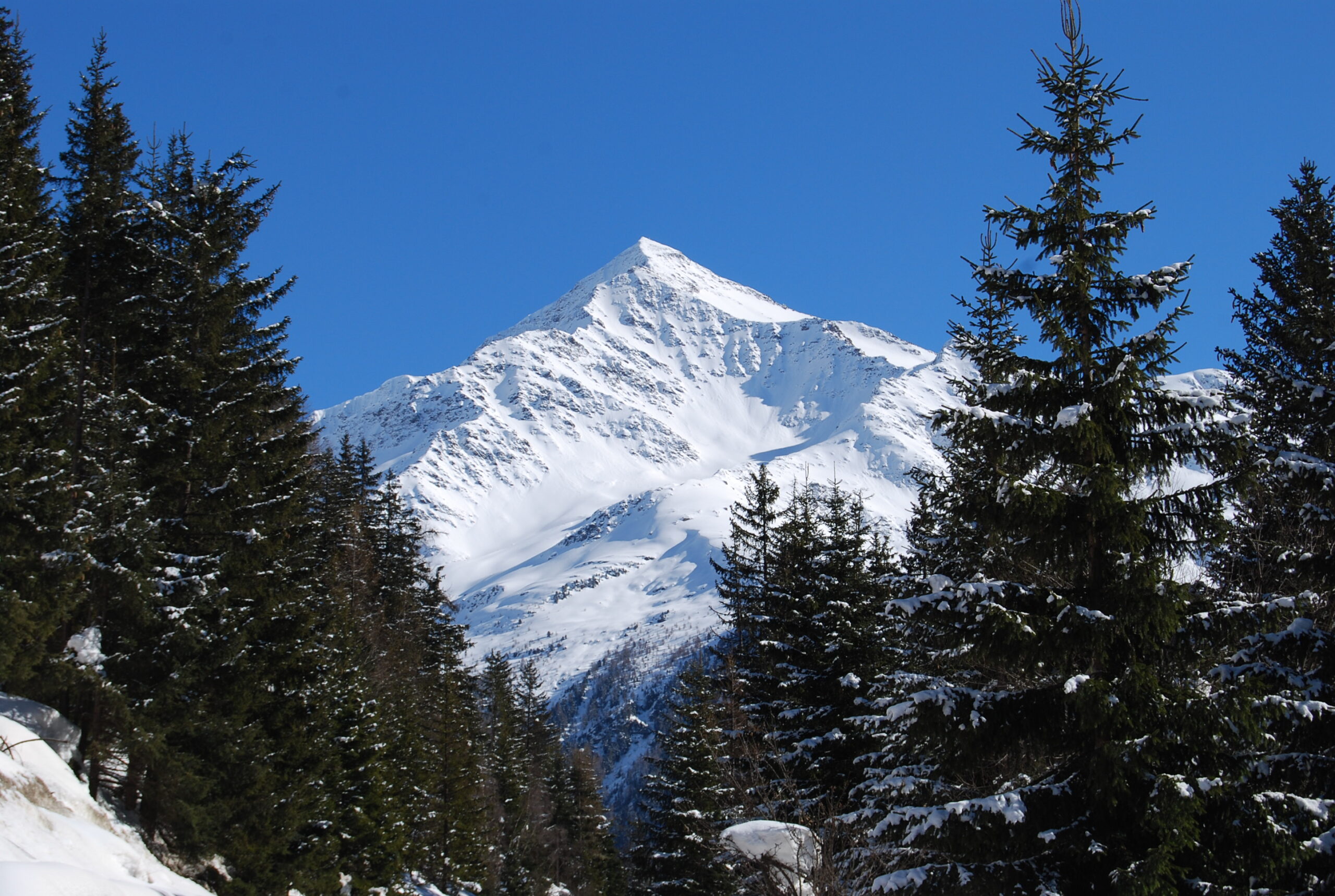 PARCO NAZIONALE DELLO STELVIO